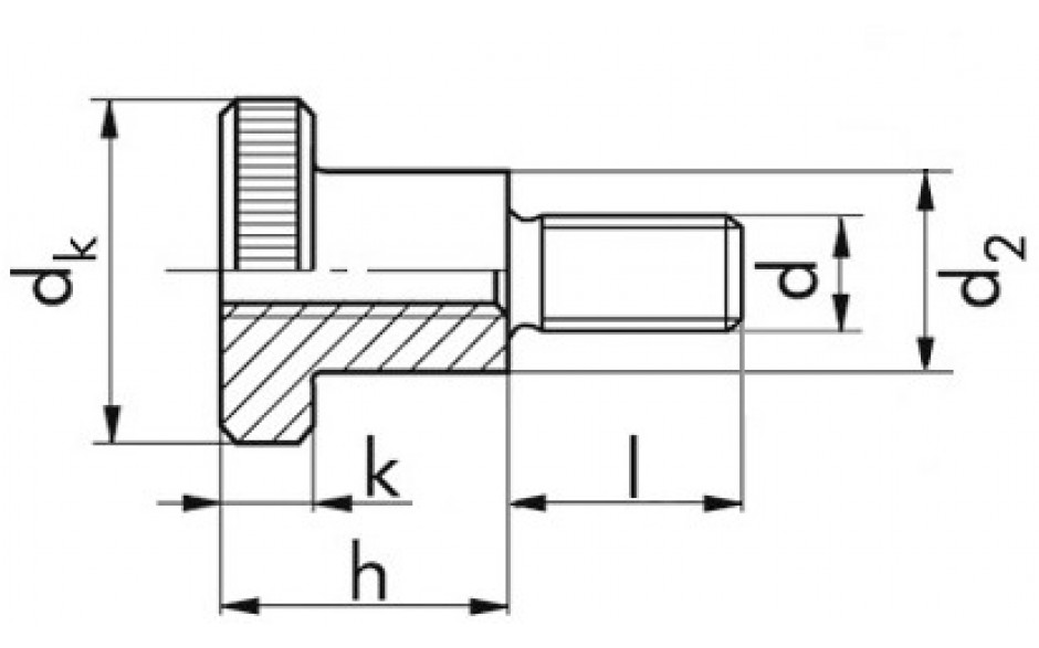Rändelschraube DIN 464 - 5.8 - blank - M8 X 25