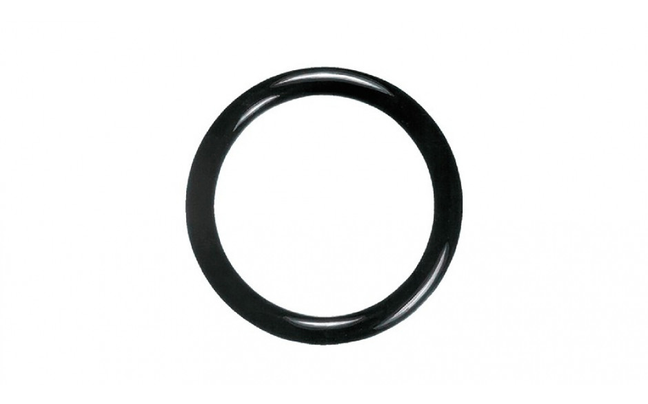 O-Ring - Fluorkautschuk (FKM NT80.7) - 555,00 X 3,50
