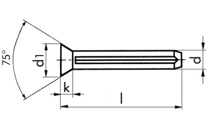 Senkkerbnagel ISO 8747 - Stahl - blank - 2 X 6
